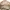 Renoma Streetwear Casual Harrington jacket Pria tan photo 6