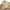 Renoma Streetwear Casual Harrington jacket Pria tan photo 5
