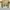 Fear Of God Fourth Collection 2015 - 2016 Boxy Pullover Hood photo 10