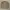 CREWNECK UNIQLO, size M photo 1