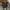Best materials longpants brown made in France photo 8