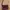 Casual Shoulder bag Wanita burgundy cream photo 1