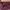 Casual Shoulder bag Wanita burgundy cream photo 2