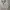 Polo Ralph Lauren White Pima Soft Touch photo 3