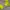 Sportswear Hoody Pria green gray photo 3