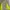 Sportswear Hoody Pria green gray photo 2