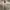 Sportswear Hoody Pria green gray photo 4