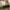 Converse 70s Low photo 7
