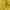 Casual Windbreaker Pria yellow photo 3