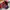 Longchamp limited edition cuir size Mm photo 9