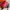 Longchamp limited edition cuir size Mm photo 2
