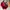 Longchamp limited edition cuir size Mm photo 1