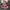 Vans Authentic 44 DX Anaheim Factory Racing Red