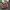 Vans Authentic 44 DX Anaheim Factory Racing Red photo 4