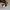 Parka japan fur hood size F  khaki,winter Jacket TB 150-165 photo 4