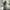 The North Face Luxury Gorpcore Track jacket Pria green black photo 2