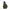 The North Face Luxury Gorpcore Track Jacket Pria Green Black