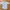 workshirt vondutch photo 1