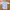Workshirt Vondutch