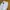 Dickies Casual Formal pants Pria white photo 3