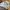 Dickies Casual Formal pants Pria white photo 6