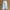 Dickies Casual Formal pants Pria white photo 2