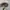 Y2K Patrol Cap Dragon Triball by Outdoor Cap photo 4