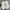 Nike Toddler Trainer Kids photo 5