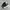 Nike Toddler Trainer Kids photo 1