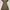 Egoist earthy olive tunic with gold sequin embroidery  photo 4
