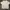 Kaos Nike photo 1