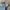 AMERICAN EAGLE RIPPED SELVEDGE JEANS photo 7