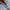 AMERICAN EAGLE RIPPED SELVEDGE JEANS photo 6