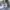Puma fatigue pants / celana pendek/ short pants / puma photo 2