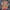Vintage Hawaiian Tomorrow by Ninja Fashion for Future photo 2