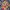 Vintage Hawaiian Tomorrow By Ninja Fashion For Future