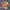 Vintage Hawaiian Tomorrow by Ninja Fashion for Future photo 7