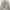 Futurist Muslim Cardigan Wanita white photo 2