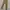 Modern Long Cargo Green photo 1