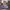 Vans Authentic 44 DX Anaheim Purple Women photo 2