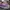 Vans Authentic 44 DX Anaheim Purple Women photo 3