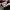 nike jordan photo 6