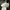 Puma Streetwear Casual Sneakers Pria White
