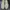 Puma Streetwear Casual Sneakers Pria white photo 4