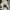 Puma Streetwear Casual Sneakers Pria white photo 7