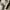 Puma Streetwear Casual Sneakers Pria white photo 6