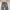291259=Homme Distressed Denim — Rare Y2K Japanese  photo 4