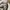 Mardi Merceredi Flower White Pink Crewneck (Authentic) photo 6