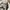 Mardi Merceredi Flower White Pink Crewneck (Authentic) photo 4
