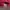 Disney Streetwear Fairy Hat Kids white pink photo 5